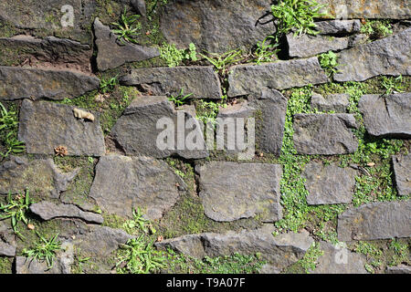 Incantevole tessitura di un pavimento esterno fatto di rocce asimmetrico / piastrelle. Tra questi vi è qualche erba verde in crescita. Bellissimi colori terreni. Foto Stock