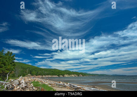 Driftwood lungo La Plage de Penouille (Oceano Atlantico) Forillon National Park Québec Canada Foto Stock