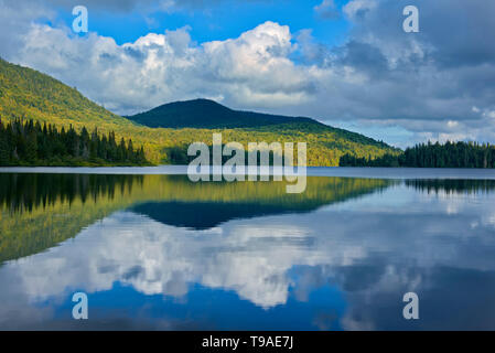 La riflessione di cloud in Lac Modène La Mauricie National Park Québec Canada Foto Stock