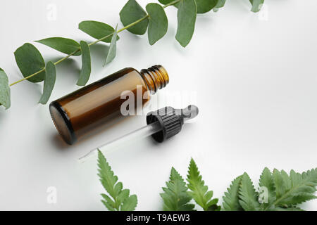 Bottiglia di eucalipto olio essenziale su sfondo bianco Foto Stock