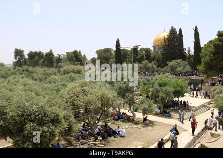 Gerusalemme, Gerusalemme, Territorio palestinese. Il 17 maggio 2019. Musulmani palestinesi adoratori di frequentare le preghiere del venerdì durig il santo mese di digiuno del Ramadan Al Aqsa moschea composto, in Gerusalemme la città vecchia, 17 maggio 2019 Credit: Abdalrahman Alami APA/images/ZUMA filo/Alamy Live News Foto Stock