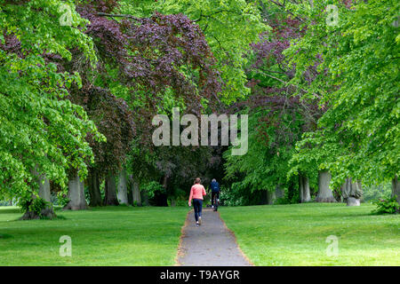 Northampton, Northamptonshire. Il 18 maggio 2019. Abington Park. La pioggia per prima cosa stamattina alleggerimento come la mattina va su, un panno di avviare per le persone che esercitano il loro primo cosa questa mattina. Credito: Keith J Smith./Alamy Live News Foto Stock