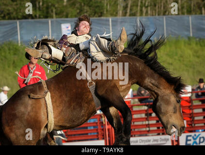 Surrey, Canada. Il 17 maggio 2019. Un cowboy compete in bareback riding evento durante la 73rd Cloverdale Invitational Rodeo nel Surrey, Canada, 17 maggio 2019. La Cloverdale Invitational Rodeo dispone di 96 world class cowboy e cowgirls dal Nord America di competere e di mostrare le loro capacità in questa quattro giorni rodeo evento. Credito: Liang Sen/Xinhua/Alamy Live News Foto Stock