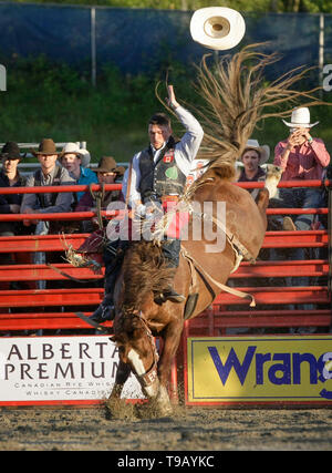 Surrey, Canada. Il 17 maggio 2019. Un cowboy compete in bareback riding evento durante la 73rd Cloverdale Invitational Rodeo nel Surrey, Canada, 17 maggio 2019. La Cloverdale Invitational Rodeo dispone di 96 world class cowboy e cowgirls dal Nord America di competere e di mostrare le loro capacità in questa quattro giorni rodeo evento. Credito: Liang Sen/Xinhua/Alamy Live News Foto Stock