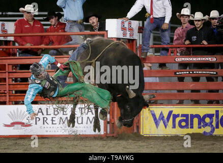 Surrey, Canada. Il 17 maggio 2019. Un cowboy compete in bull riding evento durante la 73rd Cloverdale Invitational Rodeo nel Surrey, Canada, 17 maggio 2019. La Cloverdale Invitational Rodeo dispone di 96 world class cowboy e cowgirls dal Nord America di competere e di mostrare le loro capacità in questa quattro giorni rodeo evento. Credito: Liang Sen/Xinhua/Alamy Live News Foto Stock