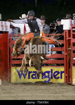 Surrey, Canada. Il 17 maggio 2019. Un cowboy compete in bull riding evento durante la 73rd Cloverdale Invitational Rodeo nel Surrey, Canada, 17 maggio 2019. La Cloverdale Invitational Rodeo dispone di 96 world class cowboy e cowgirls dal Nord America di competere e di mostrare le loro capacità in questa quattro giorni rodeo evento. Credito: Liang Sen/Xinhua/Alamy Live News Foto Stock