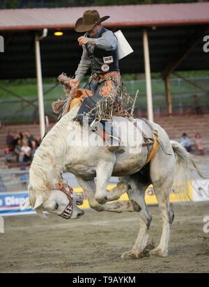 Surrey, Canada. Il 17 maggio 2019. Un cowboy compete in sella bronc riding evento durante la 73rd Cloverdale Invitational Rodeo nel Surrey, Canada, 17 maggio 2019. La Cloverdale Invitational Rodeo dispone di 96 world class cowboy e cowgirls dal Nord America di competere e di mostrare le loro capacità in questa quattro giorni rodeo evento. Credito: Liang Sen/Xinhua/Alamy Live News Foto Stock