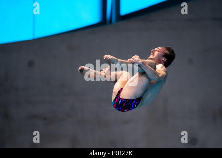 Londra, Regno Unito. 18 Maggio, 2019. Guillaume Dutoit della Svizzera compete in Uomini 3m Springboard durante FINA/CNSG Diving World Series finale al London Aquatics Centre di Sabato, 18 maggio 2019. Londra Inghilterra. Credito: Taka G Wu/Alamy Live News Foto Stock