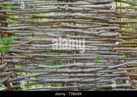 Una recinzione fatta di rami di alberi intrecciati Foto Stock