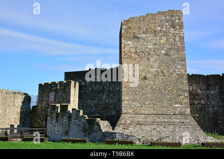 Fortezza medievale, Smederevo Szendrő, Serbia, Europa Foto Stock