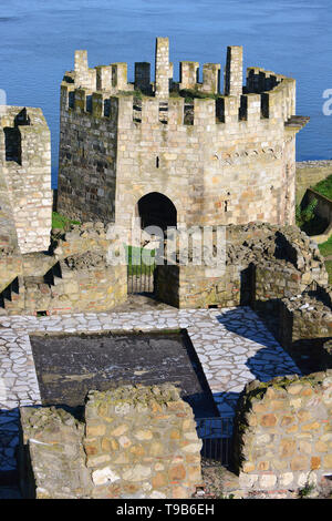 Fortezza medievale, Smederevo Szendrő, Serbia, Europa Foto Stock