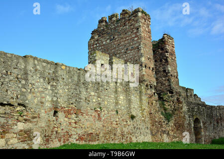 Fortezza medievale, Smederevo Szendrő, Serbia, Europa Foto Stock