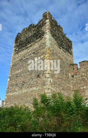 Fortezza medievale, Smederevo Szendrő, Serbia, Europa Foto Stock