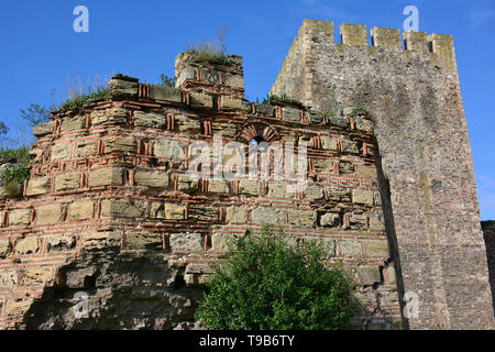 Fortezza medievale, Smederevo Szendrő, Serbia, Europa Foto Stock