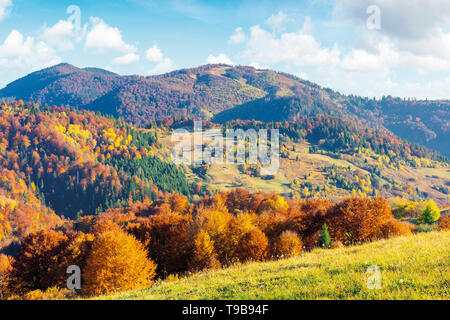 Assolato pomeriggio autunnale del paesaggio di montagna. alberi in caduta delle foglie sulla collina verde prato erboso. ridge in distanza. luminose meteo con le nuvole Foto Stock