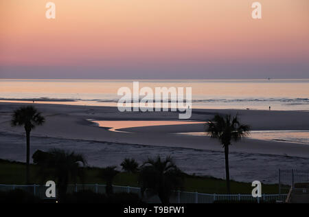 Rosa a Sunrise Beach Foto Stock