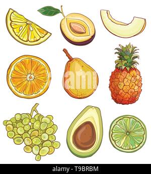 Illustrazione Vettoriale di limone, prugna, melone, arancio, pera, ananas, uva, avocadi, calce. Set di vettore con frutti e bacche: giallo, verde e ora Illustrazione Vettoriale