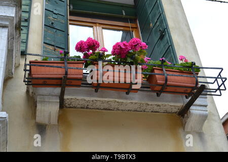 Venezia/Italia - Aprile 20, 2014: decorazione di una casa di Venezia con fiore di geranio vasi in plastica poste su antichi balconi in una soleggiata giornata di primavera. Foto Stock