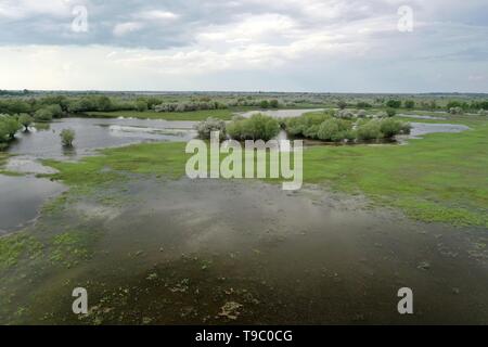 Inondazioni nel delta del Volga, Russia. Paesaggio naturale. Vista da sopra. Foto Stock