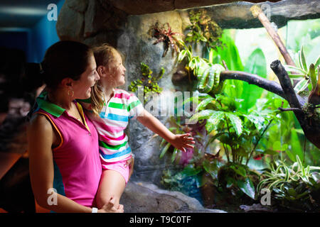 Famiglia guardare snake in zoo terrarium. La madre e il bambino guarda i serpenti in tropicale del parco safari sulla vacanza estiva in Singapore. I bambini osservare gli animali. M Foto Stock