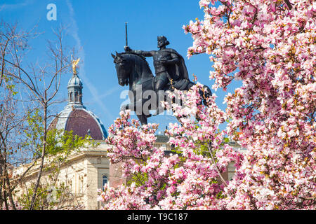 Fiore di Magnolia e di re Tomislav statua a Zagabria in Croazia, in primavera, popolari attrazioni nella capitale croata Foto Stock