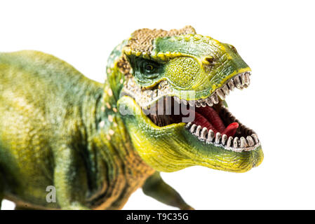 Tyrannosaurus rex di figurine di plastica vicino su sfondo bianco Foto Stock