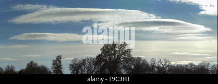 Rare stratocumulus lenticolare le nuvole attraversano il cielo invernale con alberi stagliano contro di essa Foto Stock