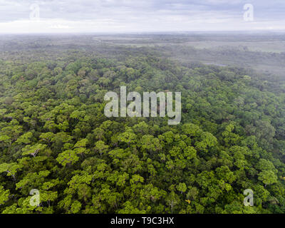 Vista aerea di una foresta nel Nord Pantanal, Brasile Foto Stock