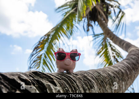 Piggybank rosa con gli occhiali da sole sul Crooked Palm Tree tronco contro il cielo blu Foto Stock