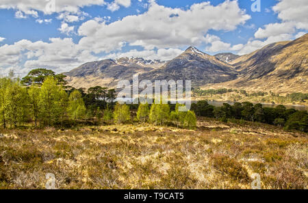 Impressione delle Highlands scozzesi e Loch Affric in Scozia Foto Stock