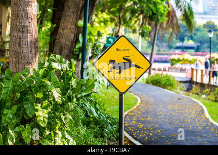 Lizard attraversando segno accanto alla pista ciclabile nel parco Foto Stock