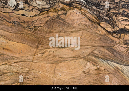 Il tuo personal texture in ideale di colore marrone. Foto Stock