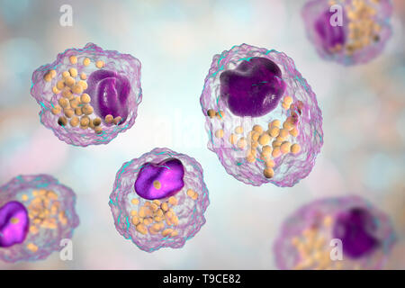 Schiuma di macrofago cellula, illustrazione Foto Stock