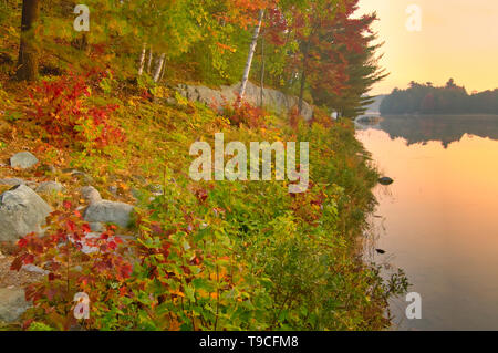 I colori autunnali lungo George lago Killarney Provincial Park Ontario Canada Foto Stock