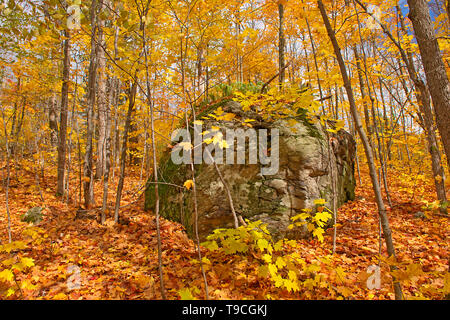 Roccia nel bosco di latifoglie in autunno nei pressi di Parry Sound. Il ferro di cavallo del lago Ontario in Canada Foto Stock