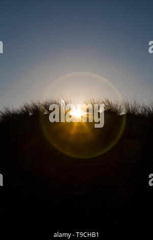 Sotto la mattina ( o eventualmente di sera) sky le dune sabbiose si stagliano, orlata da loro erba pungenti e sun prorompe dietro di loro. Foto Stock