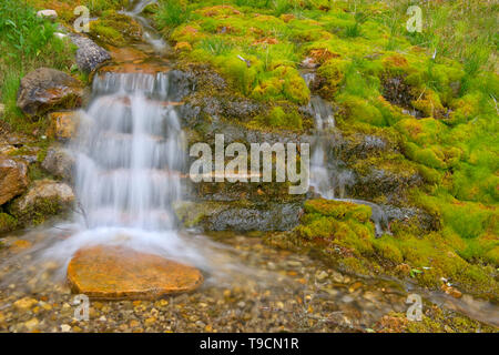 Creek e una piccola cascata lungo il Bow Valley Trail Parco Nazionale di Banff Alberta Canada Foto Stock