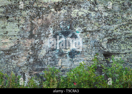 Pittogrammi sul precambrian rock sul Lago dei boschi Morson Ontario Canada Foto Stock