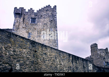 Guardando in su alla casa torre del 15th ° secolo del castello di Ross a Lough Leane, Killarney, Irlanda Foto Stock