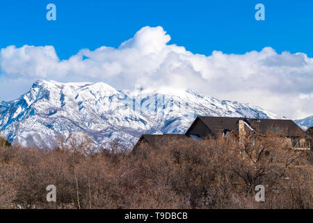 Il tetto di una casa visto al di sopra della fila di sfrondato in ibernazione alberi in inverno Foto Stock