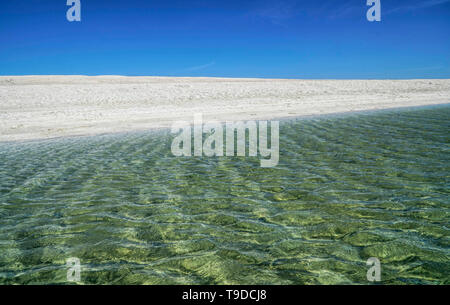 Shell Beach con infinite white tratto di spiaggia composto da miliardi di coquina gusci di molluschi Foto Stock