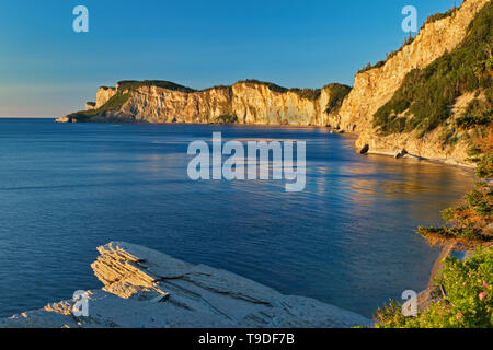 Scogliere calcaree di Cap-Bon-Ami lungo il Golfo di San Lorenzo a sunrise. Appalachians' punta northeasternmost in Nord America. Forillon National Park Québec Canada Foto Stock