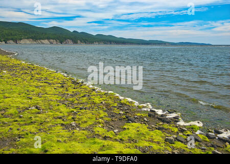 Bassa marea a Penouille spiaggia lungo il Golfo di San Lorenzo . Appalachians' punta northeasternmost in Nord America. Forillon National Park Québec Canada Foto Stock