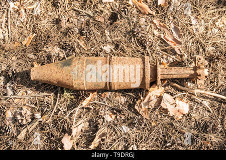 Rusty bombe inesplose dal tempo della guerra di aghi in una foresta di pini, vista dall'alto Foto Stock