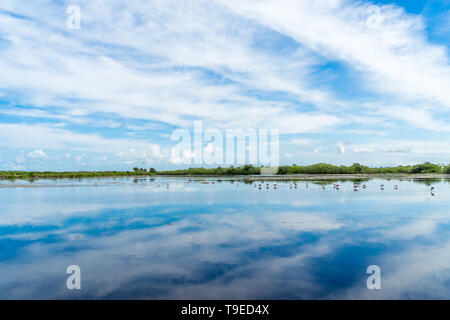 Vista attraverso acqua, zone umide con un riflesso speculare del cielo e delle nubi Foto Stock