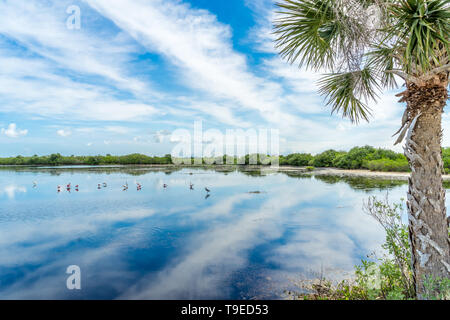 Vista attraverso acqua, zone umide con un riflesso speculare del cielo e delle nubi Foto Stock