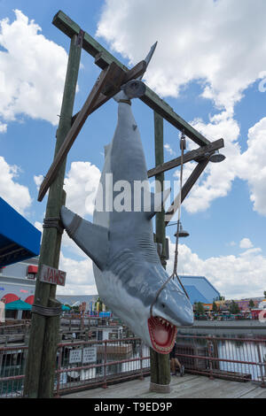 Orlando, Florida, Stati Uniti d'America - Giugno 2015 : Universal Studios Theme Park, vita dimensioni display di squalo dal film ganasce Foto Stock