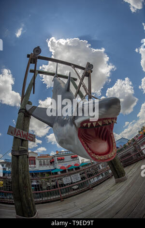 Orlando, Florida, Stati Uniti d'America - Giugno 2015 : Universal Studios Theme Park, vita dimensioni display di squalo dal film ganasce Foto Stock