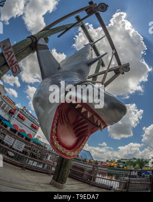 Orlando, Florida, Stati Uniti d'America - Giugno 2015 : Universal Studios Theme Park, vita dimensioni display di squalo dal film ganasce Foto Stock