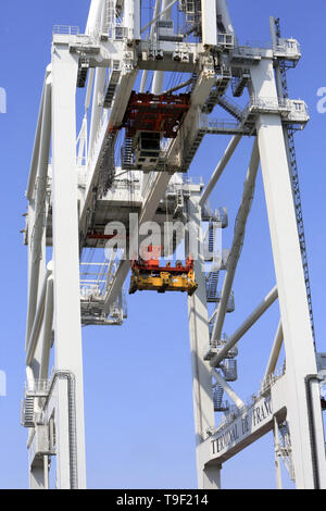 Lo scarico di una lumaca. Contenitore terminale. Le Havre. Foto Stock